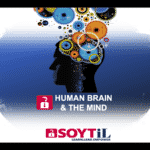 THE HUMAN BRAIN & THE MIND