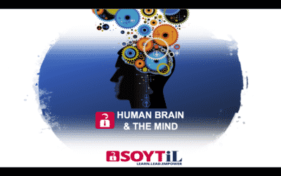 THE HUMAN BRAIN & THE MIND